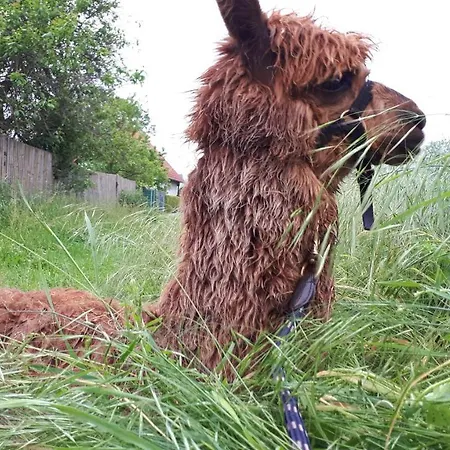 Bauernhof Gästezimmer Hortus Sandrine Gemeinschaftsbad *