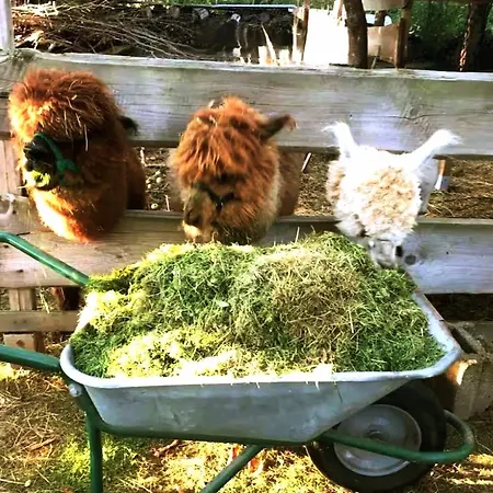 Bauernhof Gästezimmer Hortus Sandrine Gemeinschaftsbad *